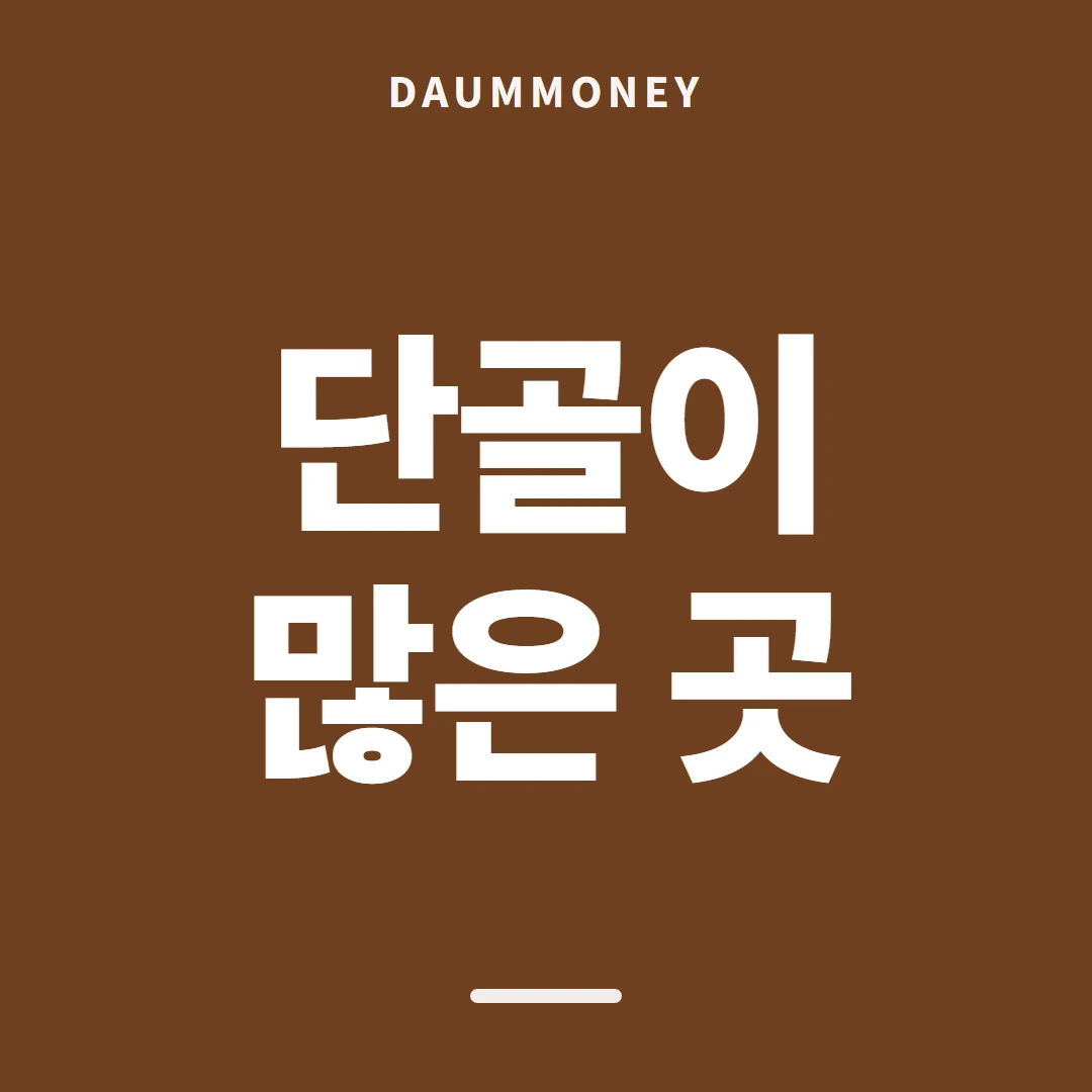 다음머니 카드깡 방법 확인 값 적기 안내 배너